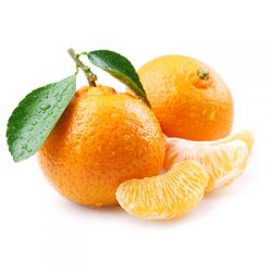 mandarin mandarin